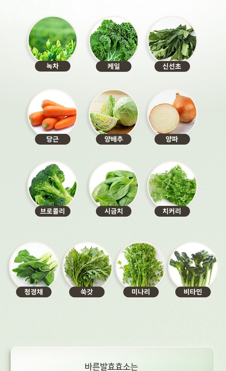바른 발효효소 상세기술서16